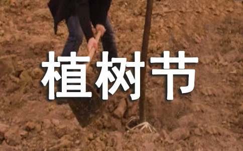 亚军球队的训练方案如何帮助你快速提升篮球技能_2